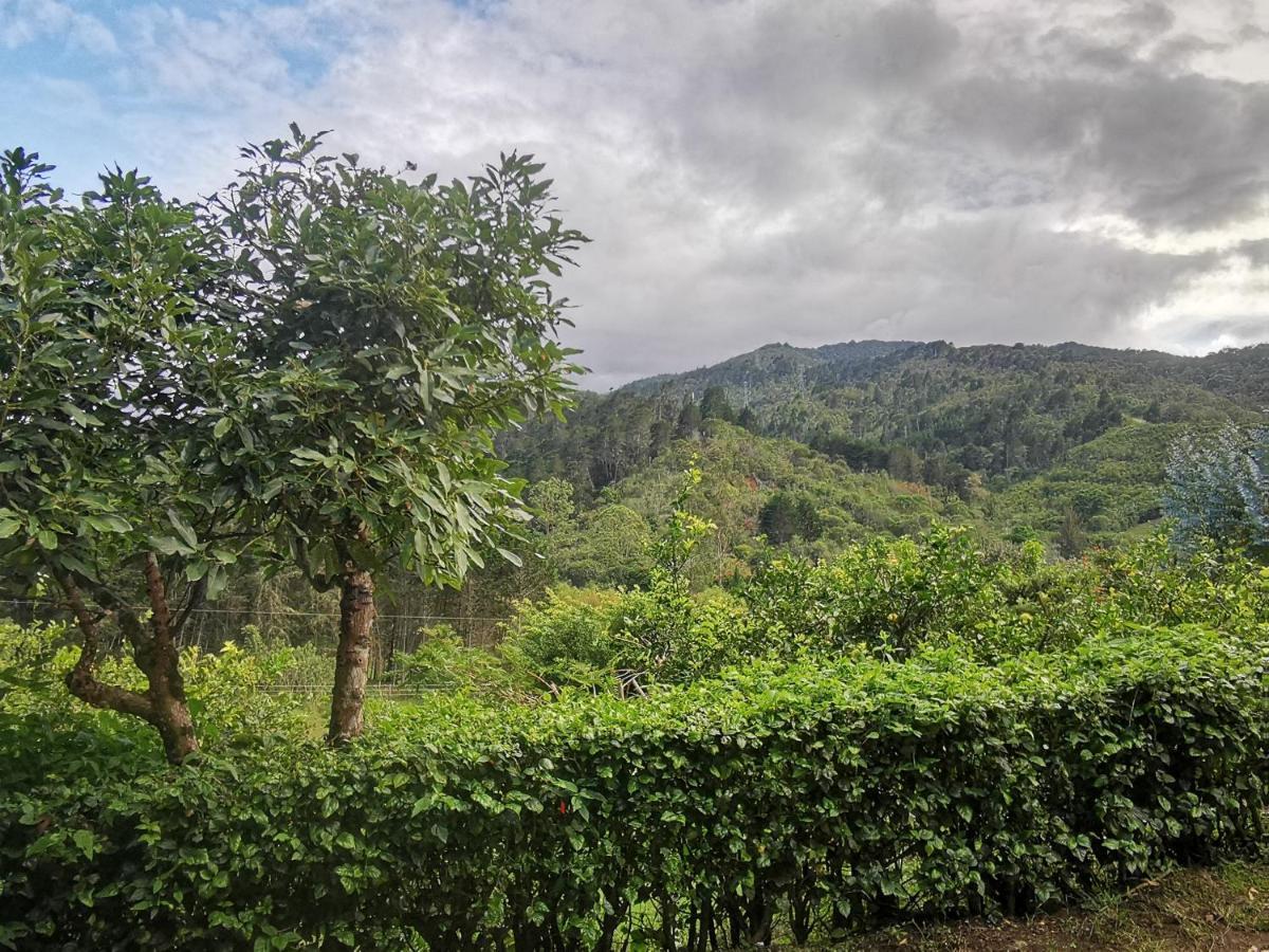 Cabana Hamacas Cartago Kültér fotó